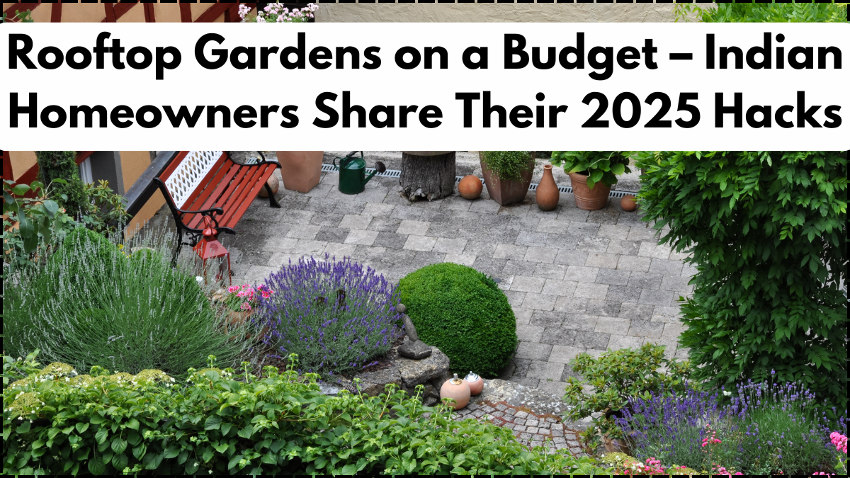 Rooftop Gardens on a Budget – Indian Homeowners Share Their 2025 Hacks